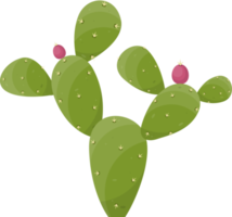 Cartoon desert cactus plant png