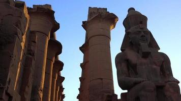 Statues in the Luxor Temple in the evening, Egypt video