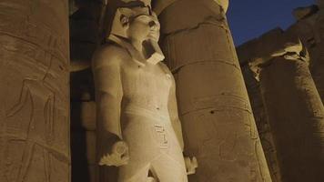estátuas dentro a luxor têmpora dentro a noite, Egito video