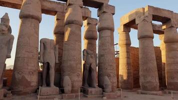 estátuas dentro a luxor têmpora dentro a noite, Egito video