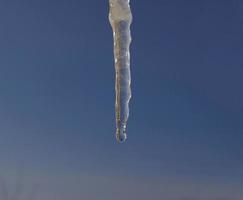 Spring drops falls down from long crystal melting icicles hanging down before clear blue sky on bright sunny thaw day. The concept of the beginning of spring, the end of winter, thaw. photo