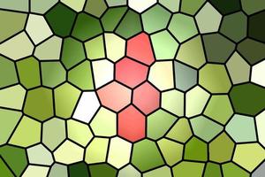 Stained Glass Background Vectors