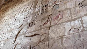 antigo desenhos em a paredes do a medinet habu têmpora dentro luxo, Egito video