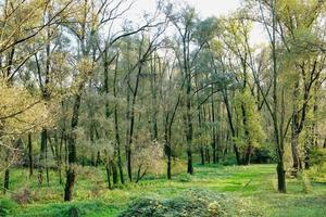 Scenic rural landscape photo