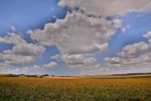 Scenic rural landscape photo