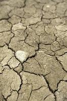 Dry soil due to drought photo