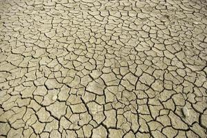 Dry soil due to drought photo
