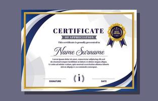 Professional Certificate Background Design vector