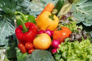 Wooden crate filled with fresh organic vegetables photo