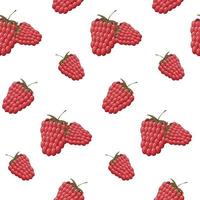 Seamless pattern with ripe red raspberries on white. Pattern, wrapping paper. vector