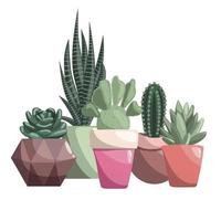 cinco diferente cactus en cerámico ollas. suculentas, espinoso pera, opuntia, haworthia, echeveria, cebra cactus, sansevieria vector