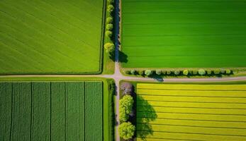 generativo ai, granja paisaje, agrícola campos, hermosa campo, país la carretera. naturaleza ilustración, fotorrealista parte superior ver zumbido, horizontal bandera. foto