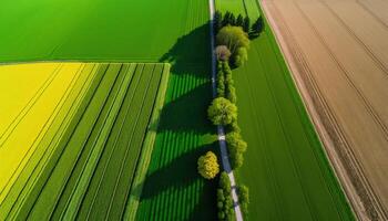 , Farm landscape, agricultural fields, beautiful countryside, country road. Nature Illustration, photorealistic top view drone, horizontal banner. photo