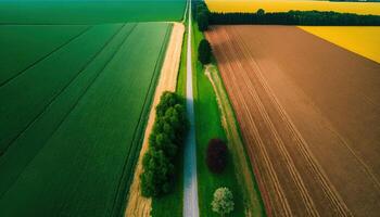 generativo ai, granja paisaje, agrícola campos, hermosa campo, país la carretera. naturaleza ilustración, fotorrealista parte superior ver zumbido, horizontal bandera. foto