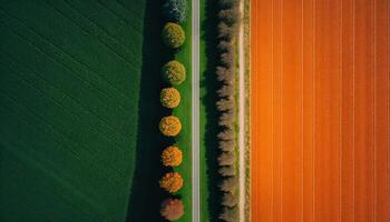 generativo ai, granja paisaje, agrícola campos, hermosa campo, país la carretera. naturaleza ilustración, fotorrealista parte superior ver zumbido, horizontal bandera. foto