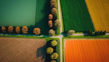 generativo ai, granja paisaje, agrícola campos, hermosa campo, país la carretera. naturaleza ilustración, fotorrealista parte superior ver zumbido, horizontal bandera. foto