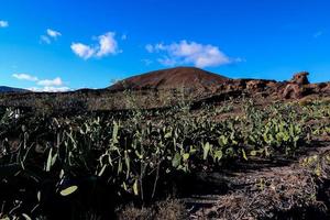 Scenic mountain landscape photo