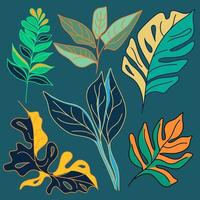 Set of tropical leaves and plants vector