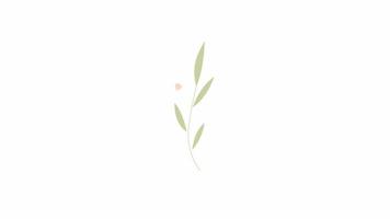 Animated twig with green leaves. Tree branch blowing in wind. Flat cartoon style icon 4K video footage. Color isolated element animation on white background with alpha channel transparency
