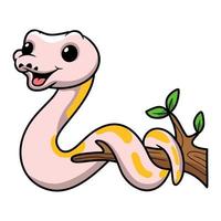 Cute super cinnamon banana ball python cartoon on tree branch vector