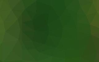 Light Green vector low poly layout.