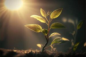 AI Generated A plant shoot reaching towards the sunlight. photo