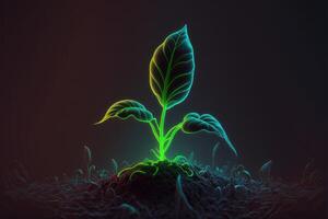 A sprout emerging from the soil glow in the dark background photo