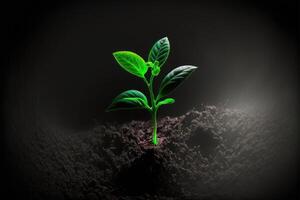 ai generado un joven planta de semillero sólo comenzando a brote resplandor en el oscuro antecedentes. foto