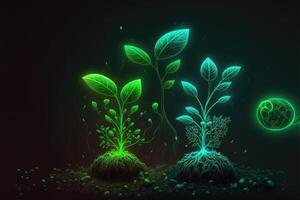 Seedlings glows in the dark green background. photo