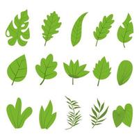 Set leaves plant green color for nature and on white background, Hand drawn vector. vector