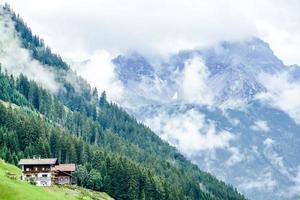 paisaje rural en suecia foto