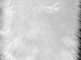 White Fur Carpet Images – Browse 38,744 Stock Photos, Vectors, and