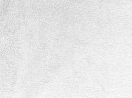 White clean wool texture background. light natural sheep wool. white seamless cotton. texture of fluffy fur for designers. close-up fragment white wool carpet. photo