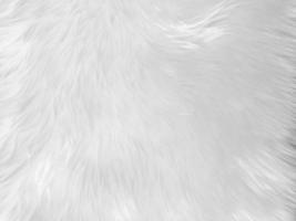 White Fur Stock Photos, Images and Backgrounds for Free Download