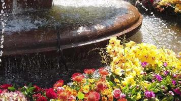 schön Brunnen dekoriert mit Blumen video