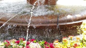 bellissimo Fontana decorato con fiori video