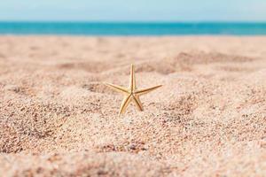 Starfish on sandy beach against backdrop of sea. Rest, holidays, summer in hot countries. Copy space photo