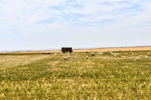 Scenic rural landscape photo