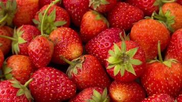 fruit, aardbei, aardbeien fruit, detailopname van aardbei, rijp aardbei video