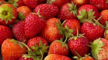 fruit, fraise, des fraises des fruits, fermer de fraise, mûr fraise video