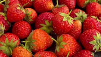 fraise arrière-plan, des fraises Contexte video