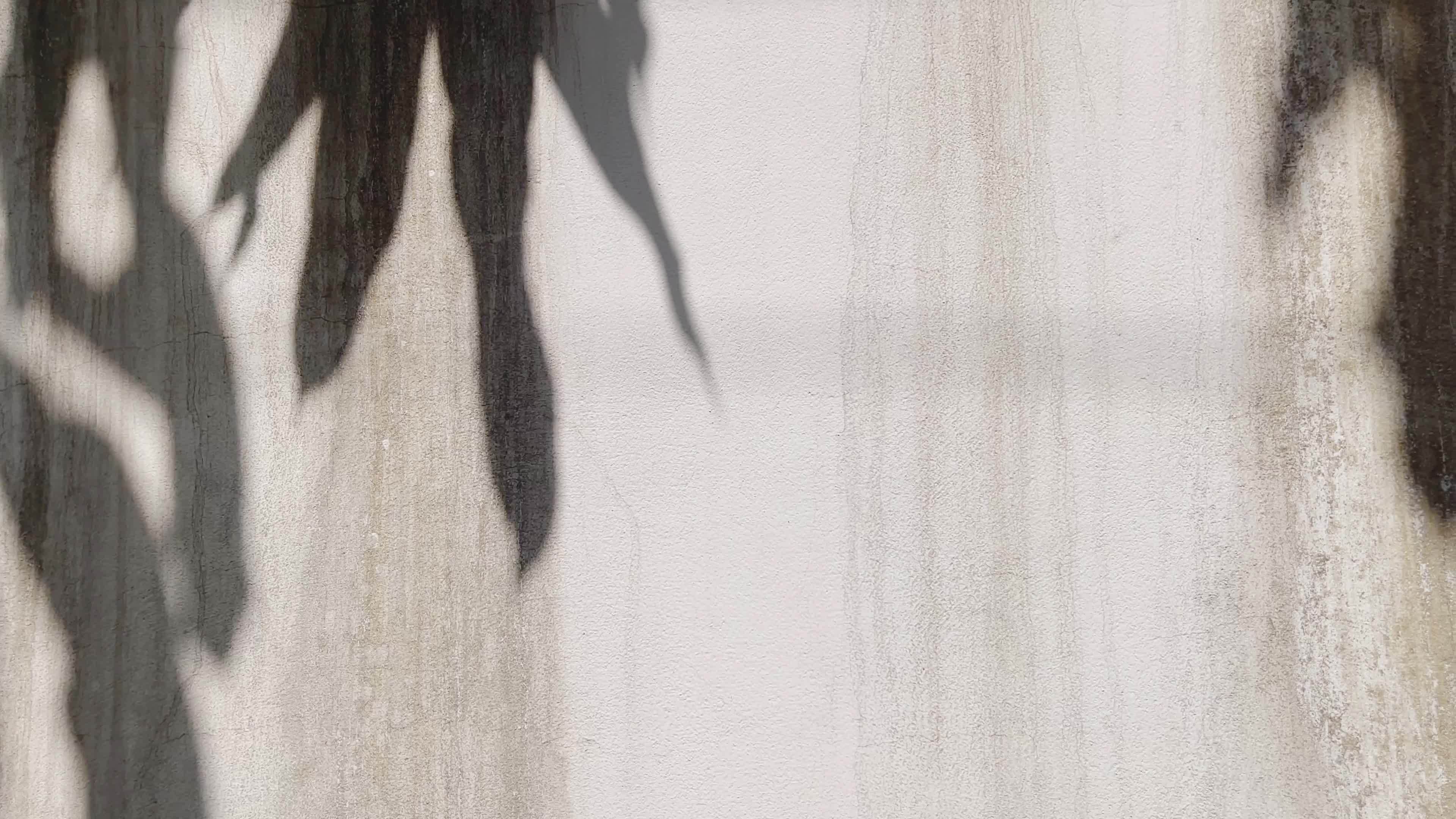 Background, shadow background 21838481 Stock Video at Vecteezy
