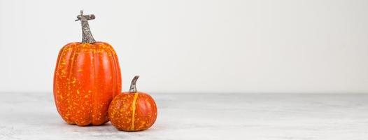 Two pumpkins against white background with place for text. Thanksgiving or harvest concept. Autumn holidays.Copy space banner photo