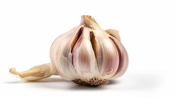 Whole garlic on a white background, . photo