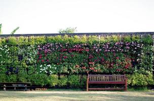 wooden chair in vertical garden photo