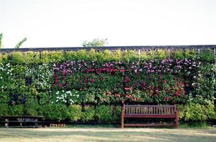 wooden chair in vertical garden photo