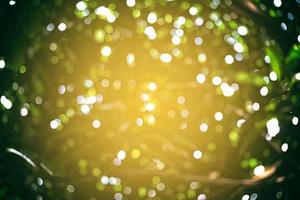Abstract Electric Bokeh Background with Light Leak. photo