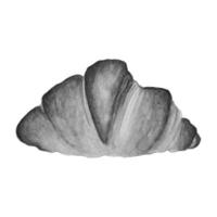 Croissant watercolor monochrome stylized, hand drawn sketch. vector