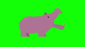 nijlpaard icoon lus animatie video transparant achtergrond met alpha kanaal.