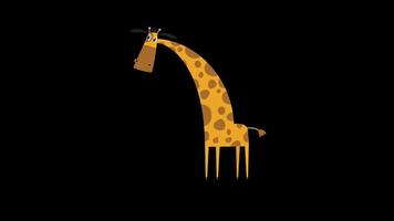 giraffe icoon lus animatie video transparant achtergrond met alpha kanaal.